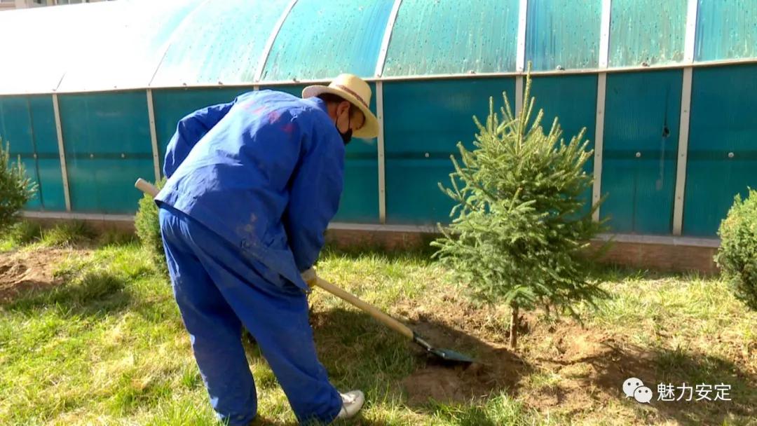 福台路街道：小区绿化升级换“颜值”