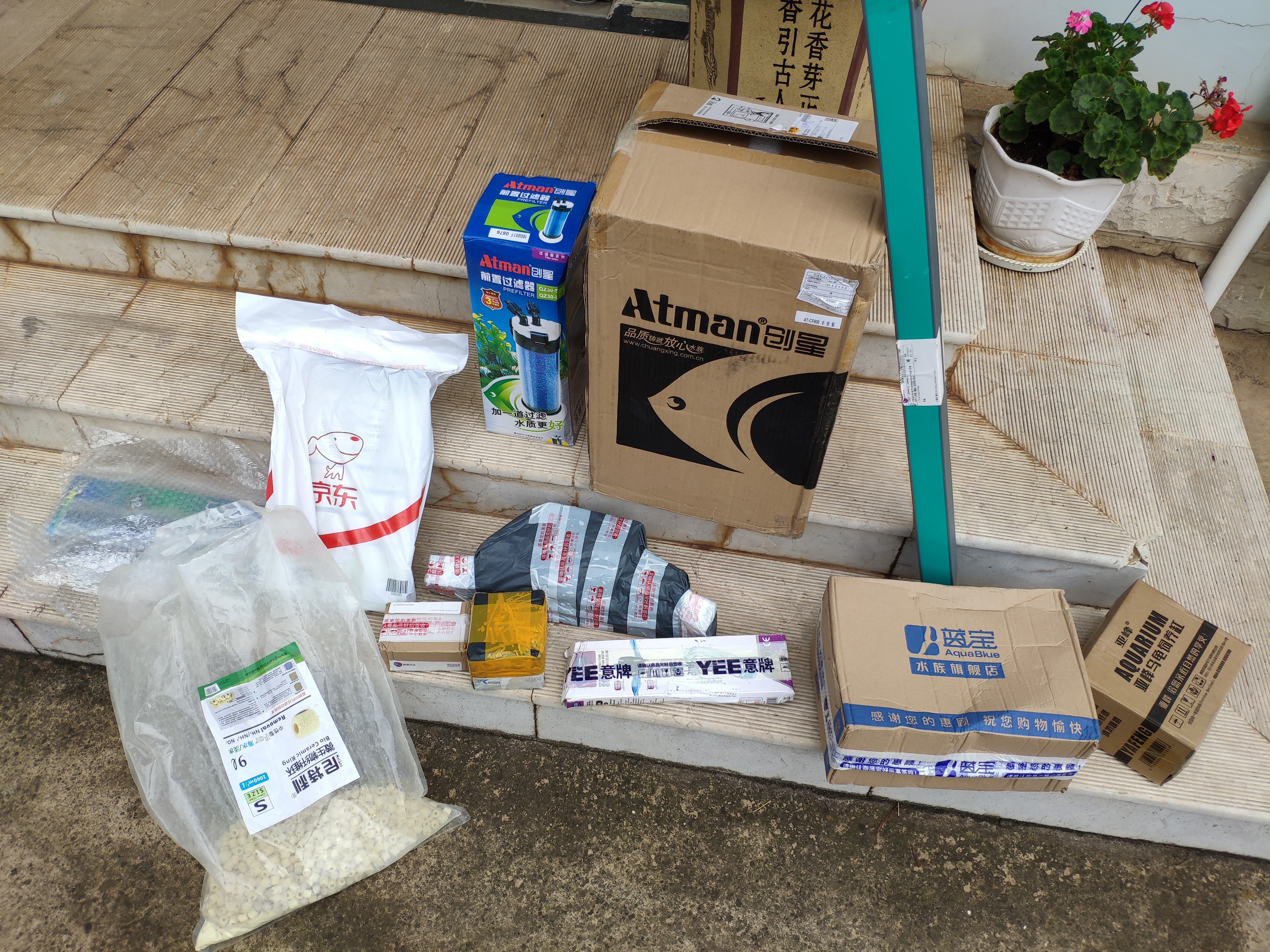 入坑草缸你准备好了吗,草缸入坑观赏鱼