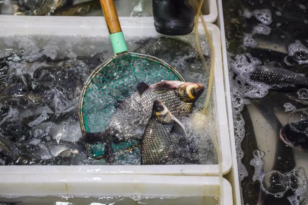 武汉疫情社区团购,武汉社区团购小程序