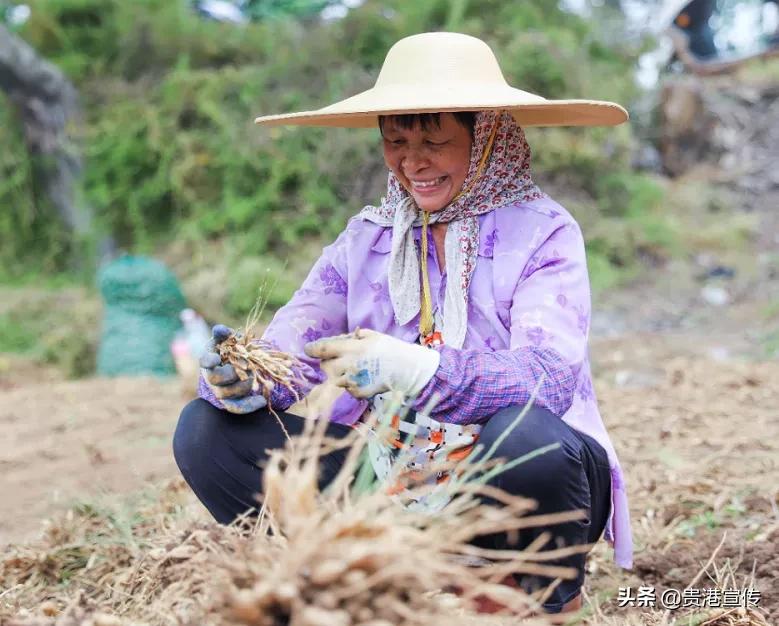 贵港十大旅游村,贵港古镇古村落有哪些景点
