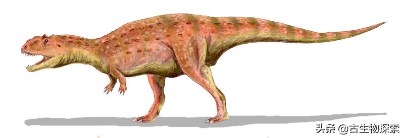 古生物学家的发现,发现新的巨型食肉恐龙物种