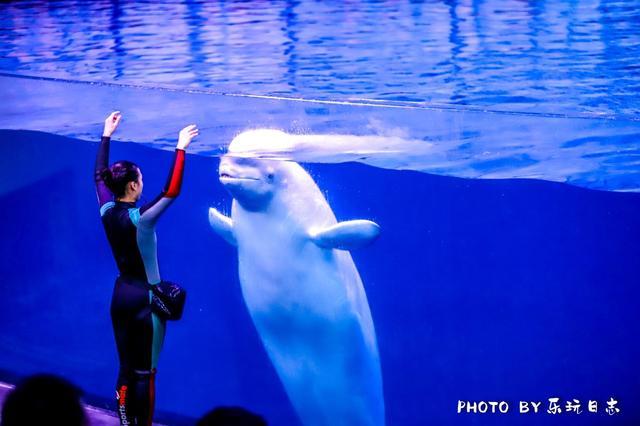 来珠海旅游必打卡的景点,春节珠海亲子游玩地方推荐