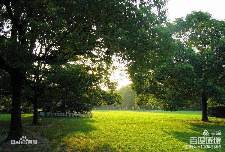 上海中山公园介绍,上海中山公园