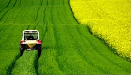 期货黄金交易技巧,黄金外汇开仓技巧