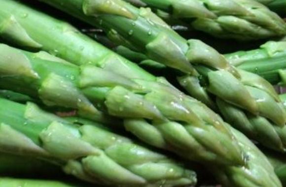 芦笋阳台种菜,菜园怎么种芦笋