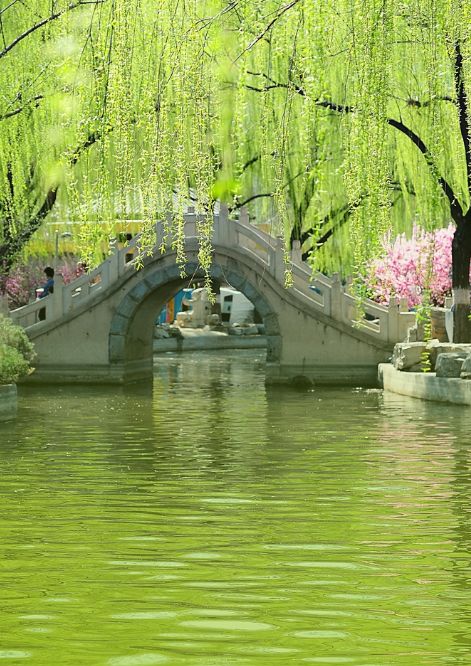 诗词春韵经典诵读,诗词春望古诗