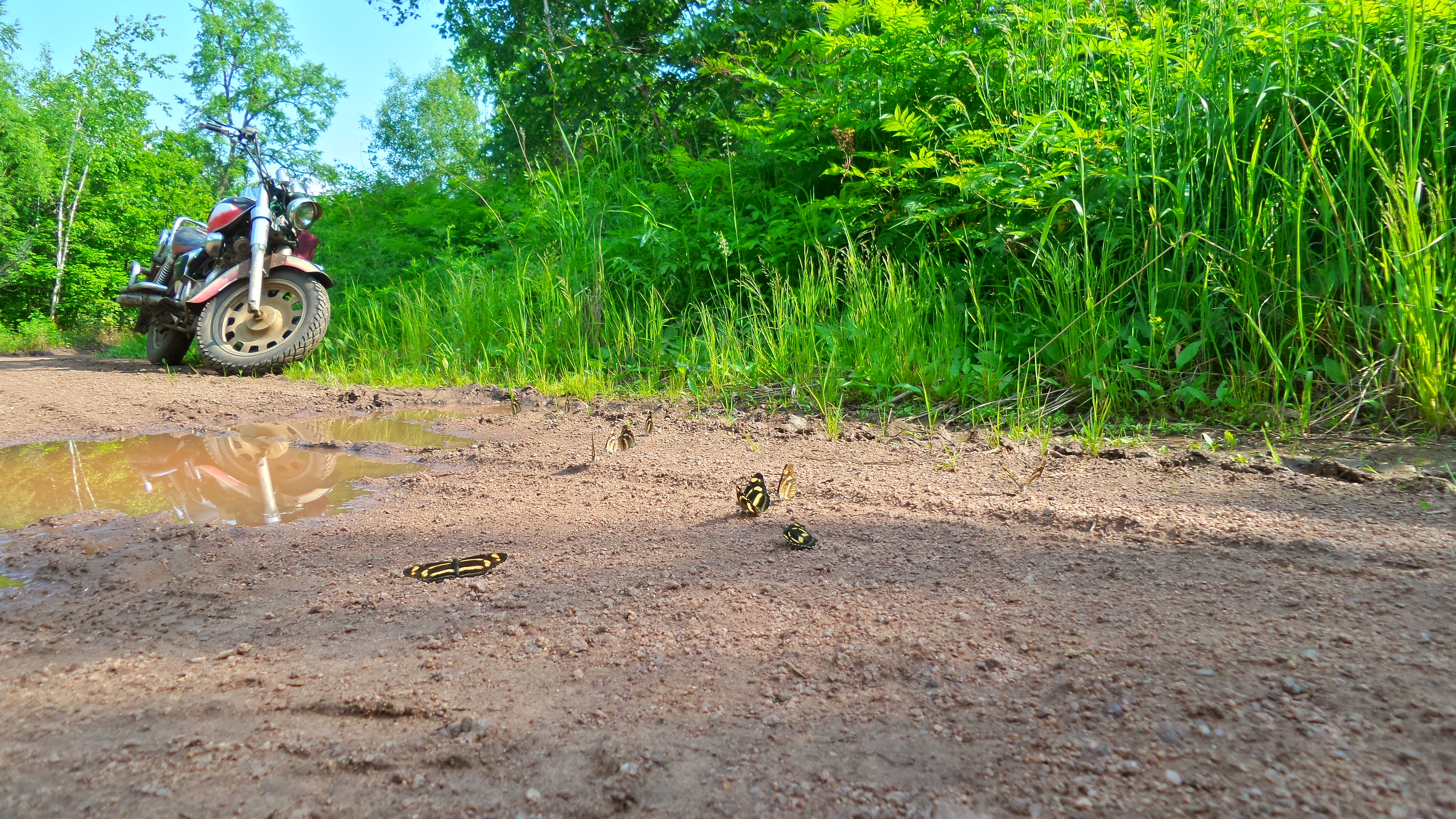 大山里的苦日子视频,你见过最苦的生活是什么样的