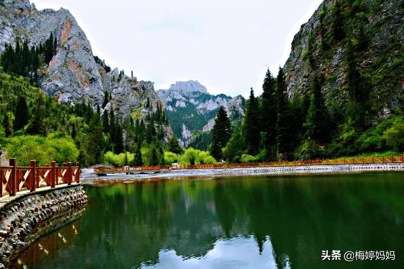 去甘南则岔石林,甘南省则岔石林