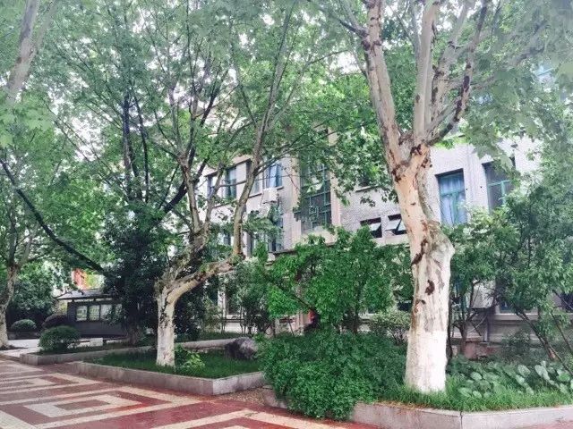 又到一年高考时你释怀了吗,又是一年高考时满是青涩的回忆