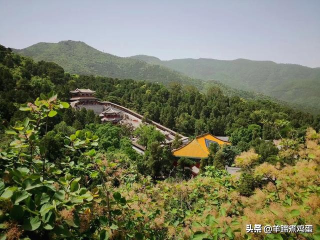 游玩北京香山公园之行,7月的北京香山公园图片