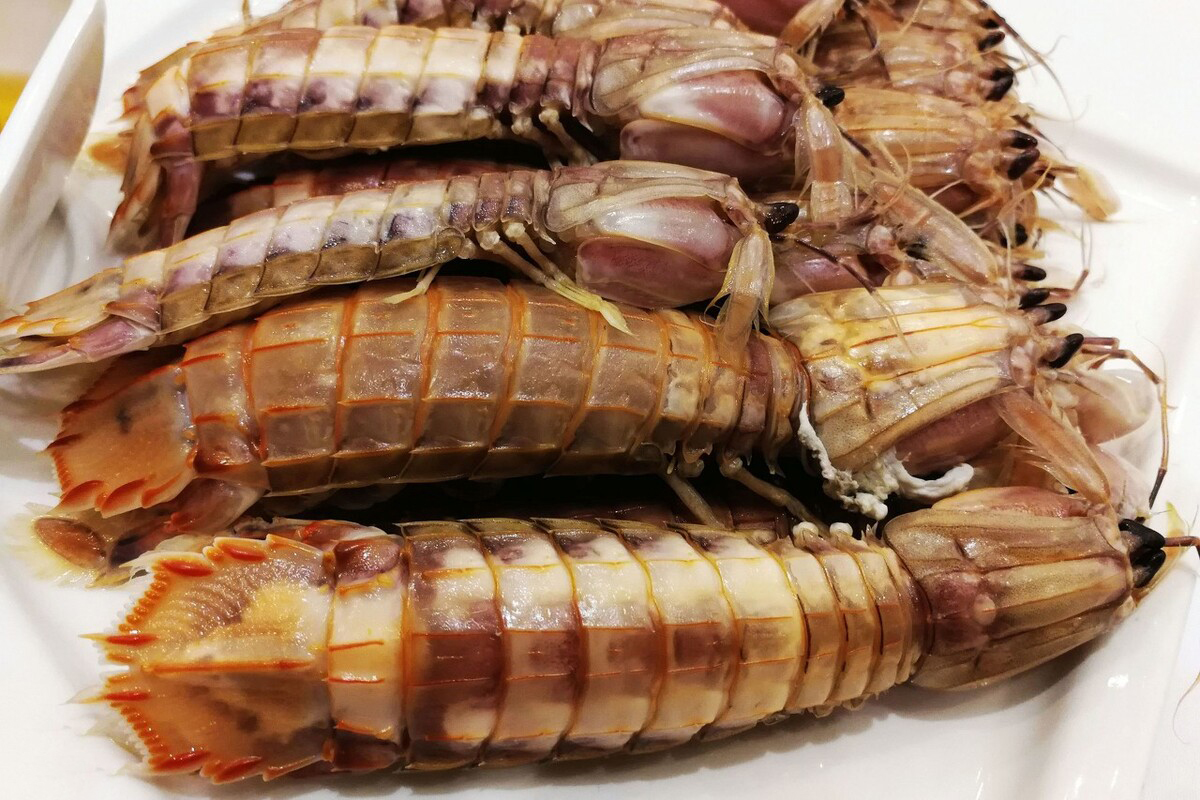 如何挑选皮皮虾的正确方法,皮皮虾该怎么选到母的