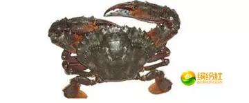 舟山4月份海鲜攻略,舟山海鲜代加工攻略