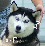 结膜炎流眼泪用眼药水没用怎么办,结膜炎眼睛流眼泪严重用什么药水