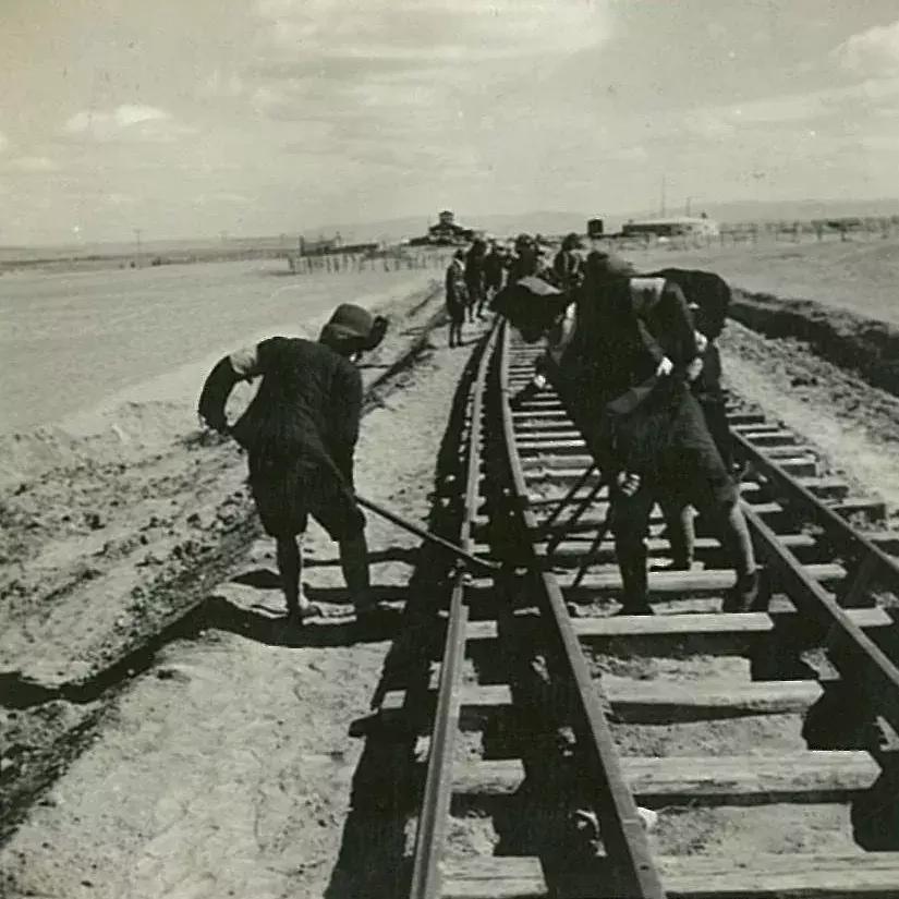 你可能没见过的姓氏,你可能没见过的日语