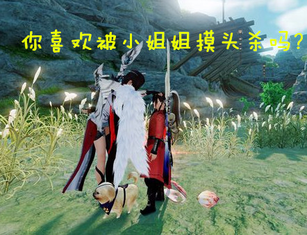 为什么你的摸头杀总是变成悲剧？盘点最正确的“撩妹”招式