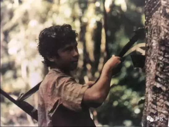 巴西是单一制国家还是联邦制国家,为什么说巴西是桑巴军团