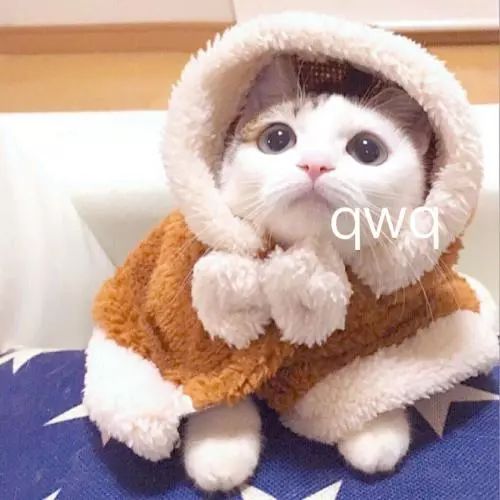 吴昕同款正品夜光魔力裤,吴昕抖音同款背带裤