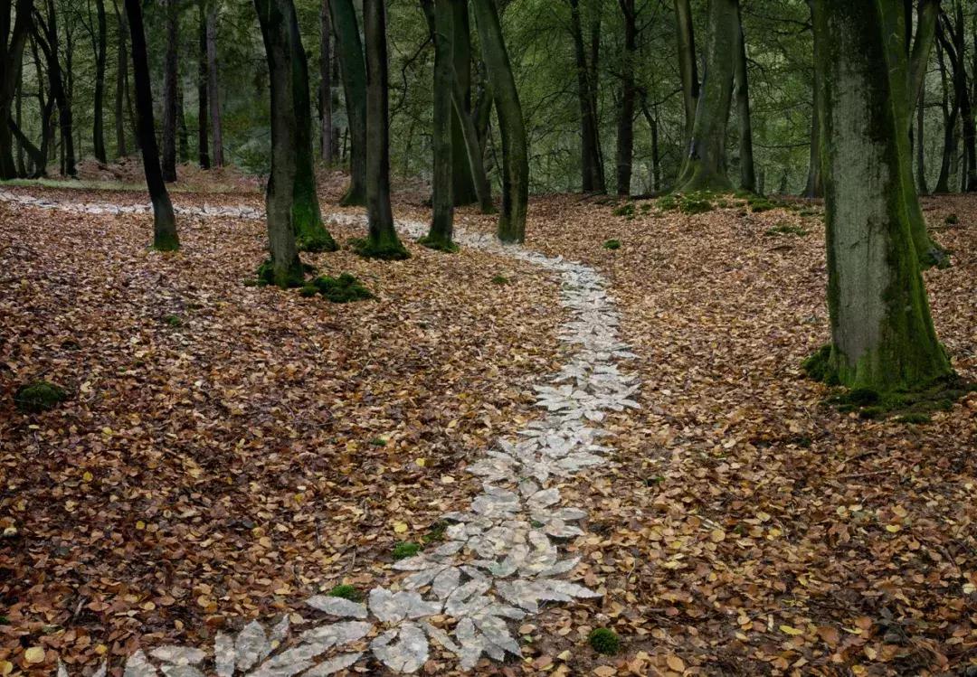 自然系艺术家的快乐很简单