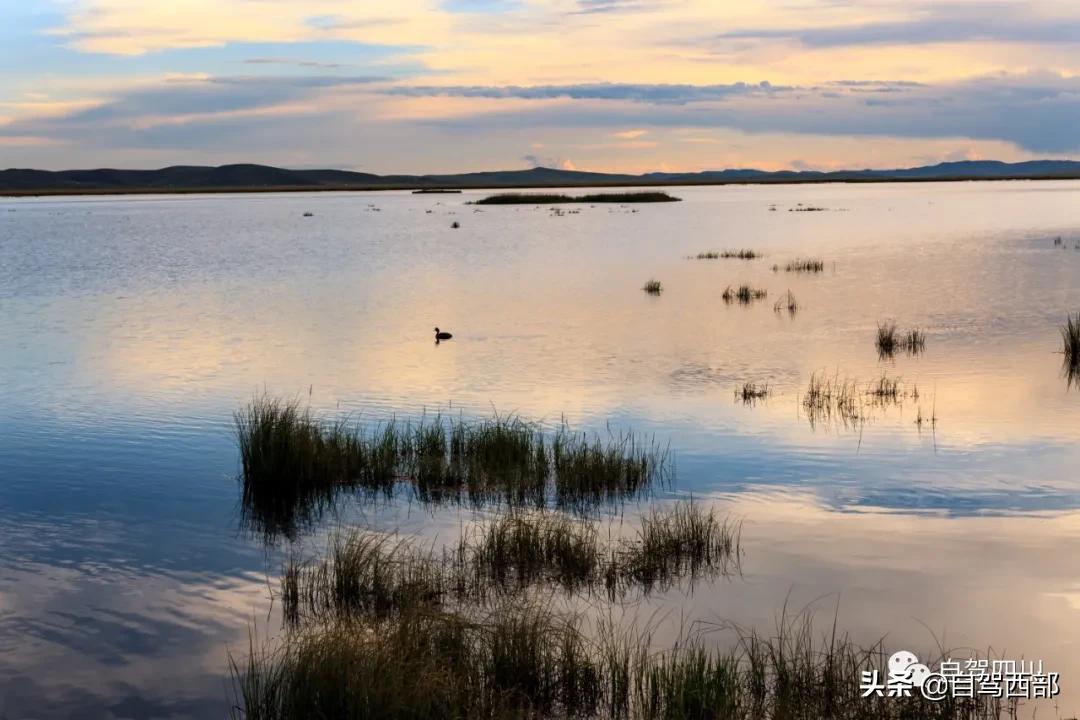 鑻ュ皵鐩栧ぇ鑽夊師杩樻湁娌℃湁婀垮湴,鑻ュ皵鐩栨箍鍦伴粍娌崇殑澶ц嚧璧板悜