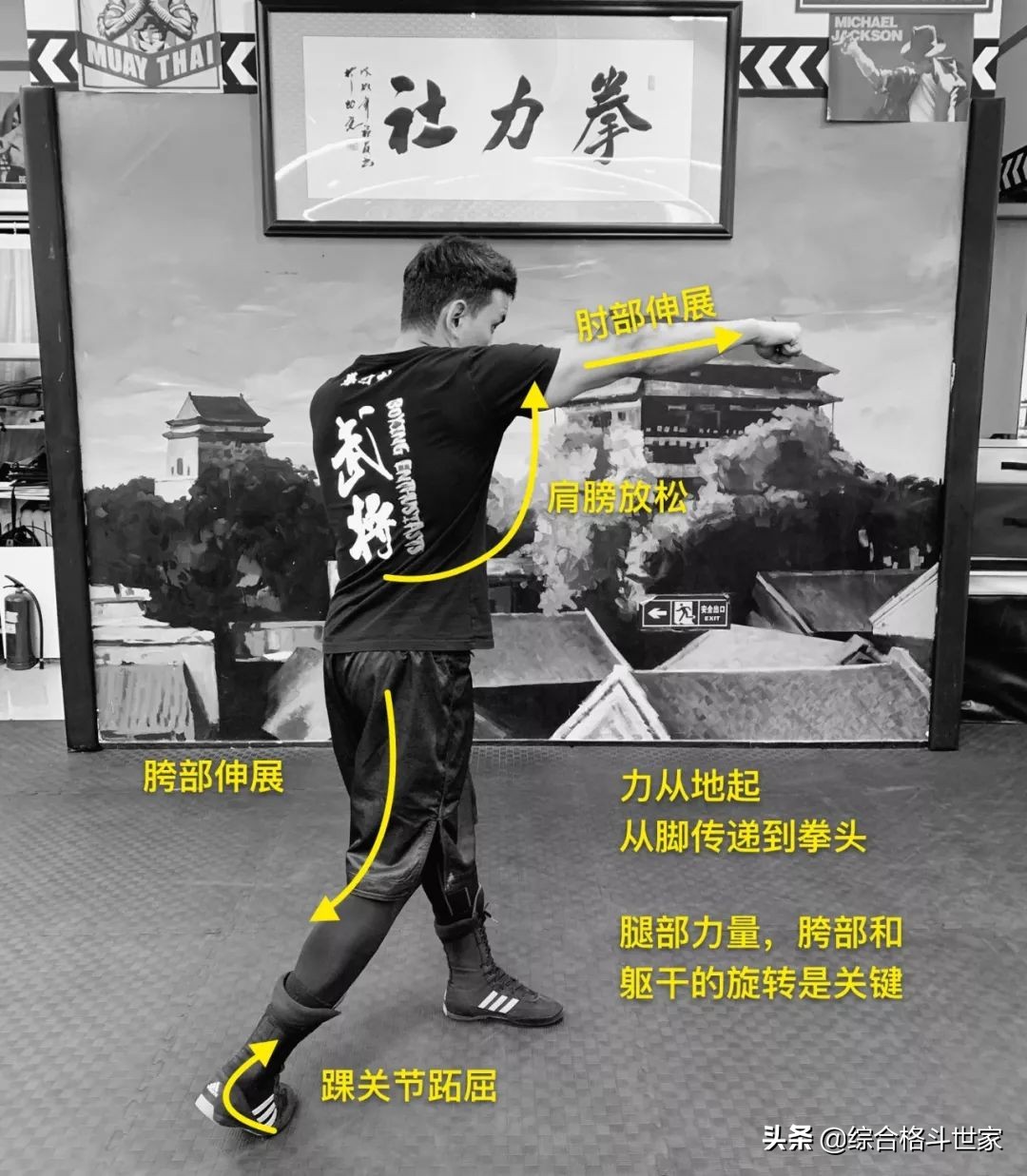 超帅的格斗招式动漫,动漫中强大的格斗术