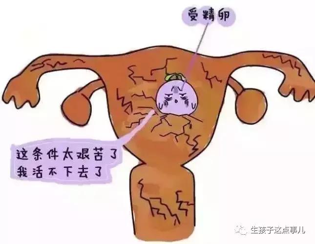 解读hcg和孕酮帮大家走出误区,hcg和孕酮怎么自查