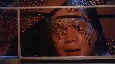 梁小龙陈真动作解析,梁小龙陈真腿功