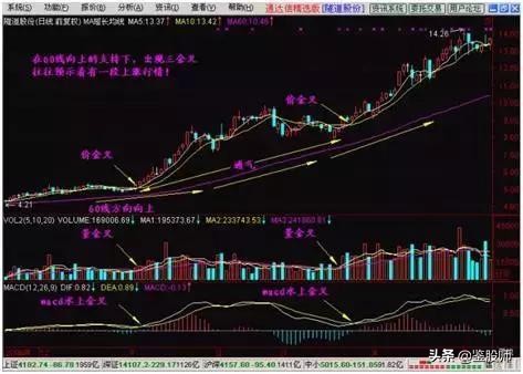 只需一条线看股市,简单看懂一只股票