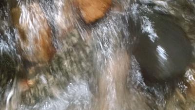 揭阳市国庆游玩攻略,揭阳国庆旅游