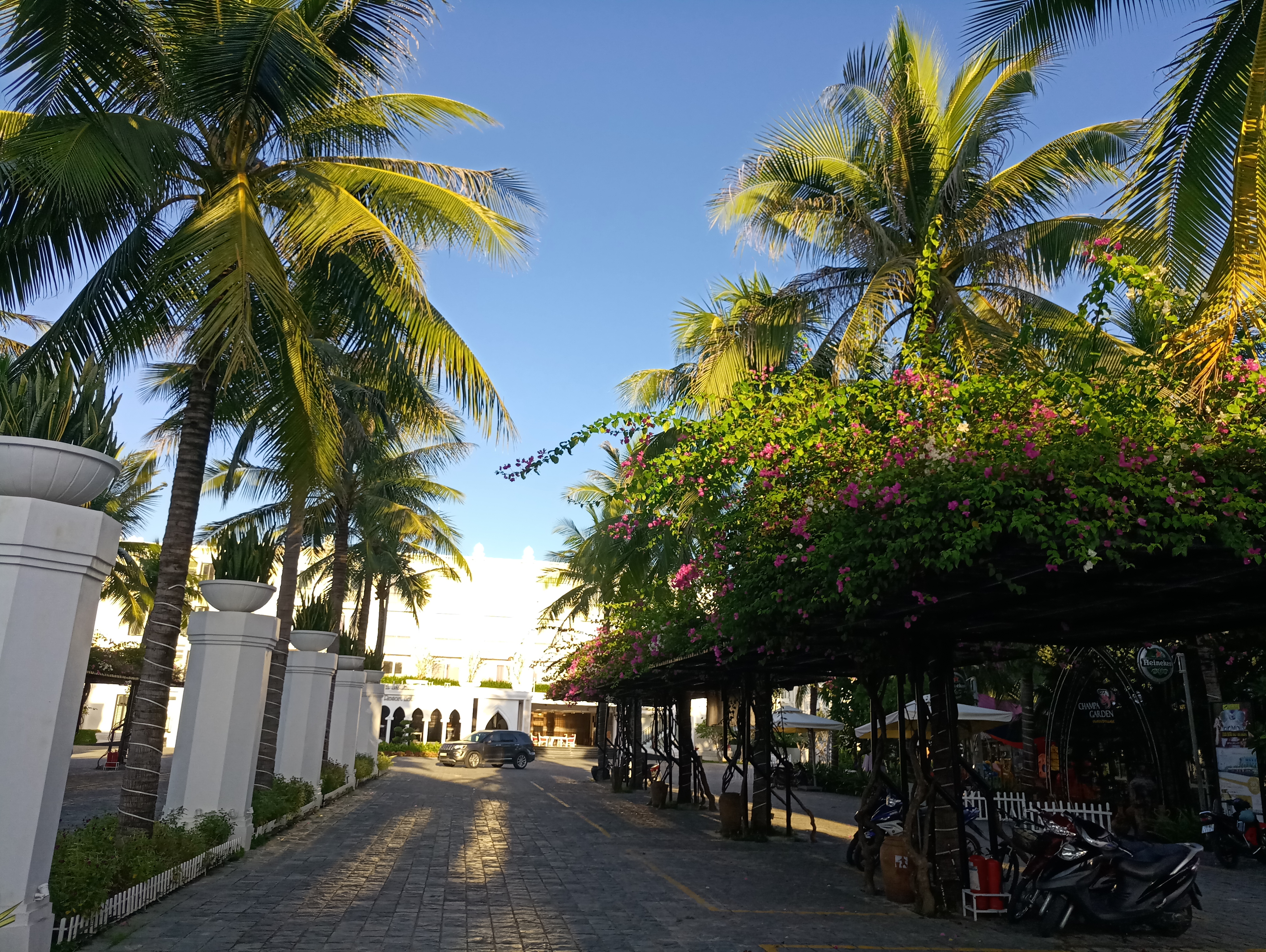 我的越南之旅完整版,我的越南芒街旅行记