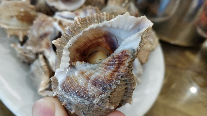 20200906骑行中国第一大火山岛——硇洲岛