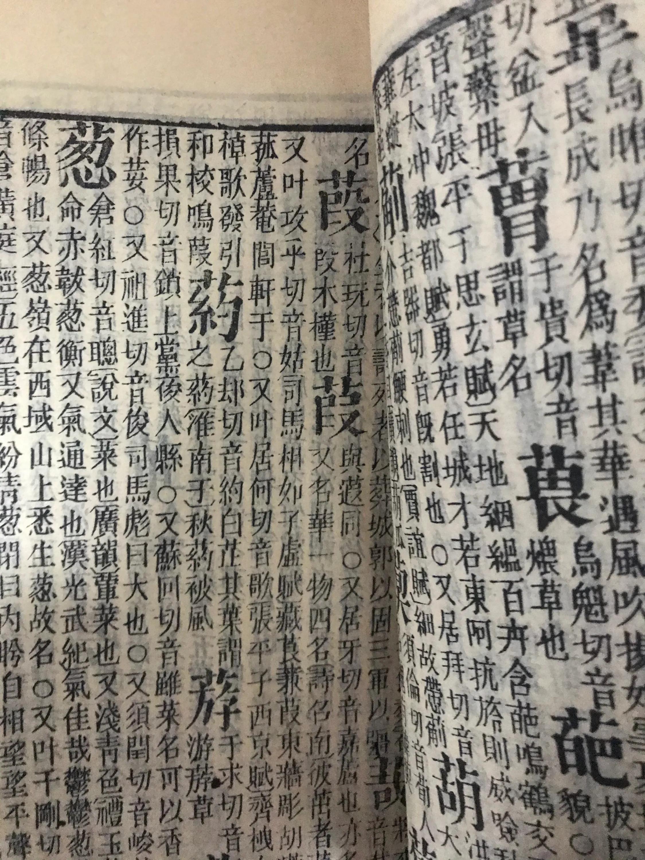 祖传下来的康熙字典,康熙字典袖珍本