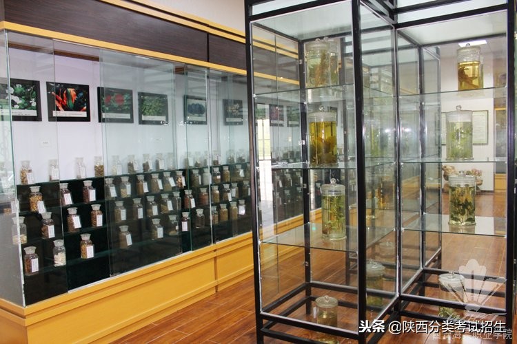 西安海棠职业学院学费,西安海棠职业学院报名