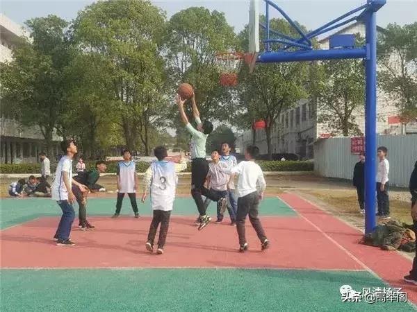 系列散文——李淑孟:我们的学校是花园(之二十)