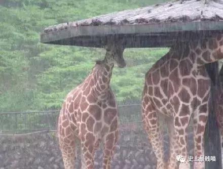 如何委婉地表达最近手头有点紧,怎样委婉的表示自己手头有点紧