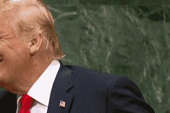 特朗普小儿子萌照曝光,特朗普孙女现在怎么样了