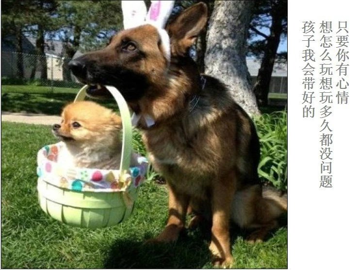 我只想说声爱你,只想再爱你一次