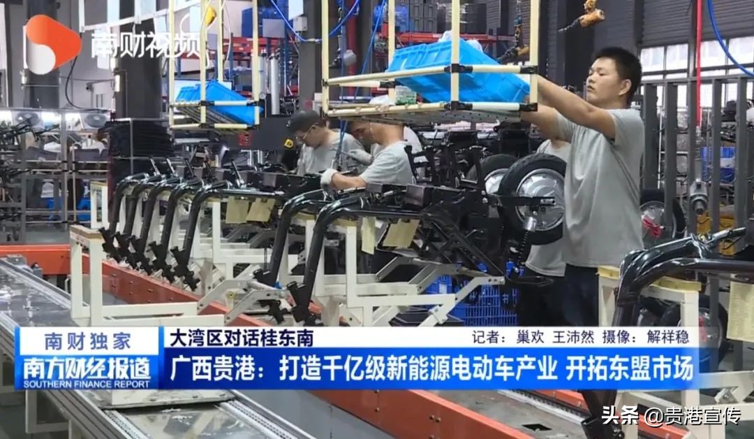 牛犇犇直播视频,牛犇直播人气