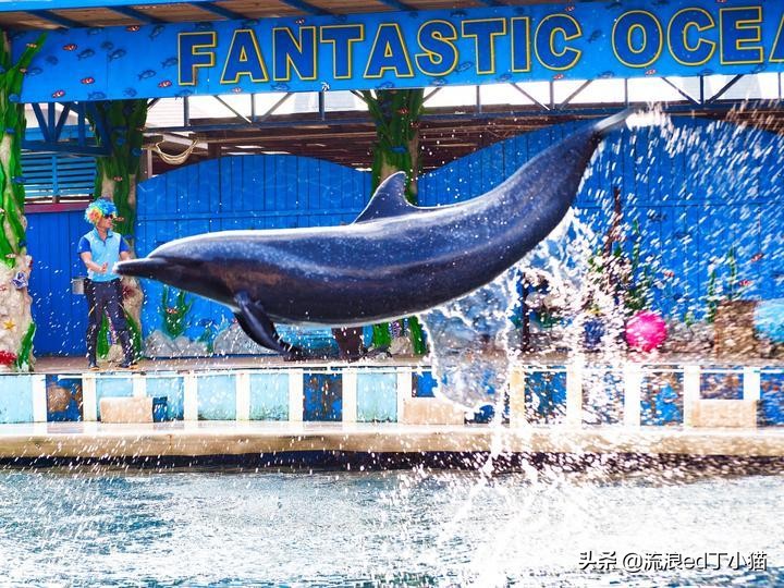 海南小众小岛视频,海南小众海岛景点