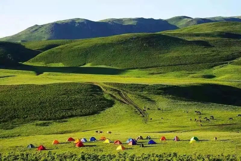 塔城生态环境优美,新疆是个好地方塔城