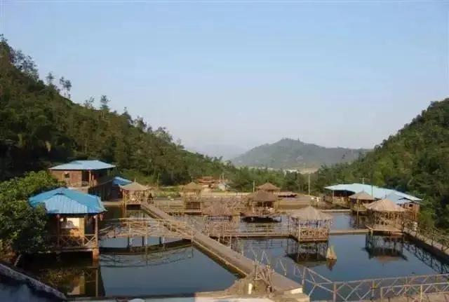 宁德蕉城区七都泰禾雅居民宿,宁德哪个民宿好点实惠又便宜