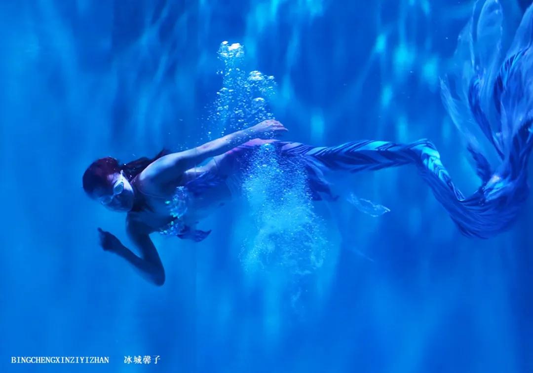 走进哈尔滨完整视频,走进哈尔滨海洋馆