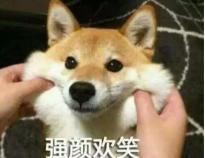 狗狗冻干肉测评,狗狗肉冻干推荐