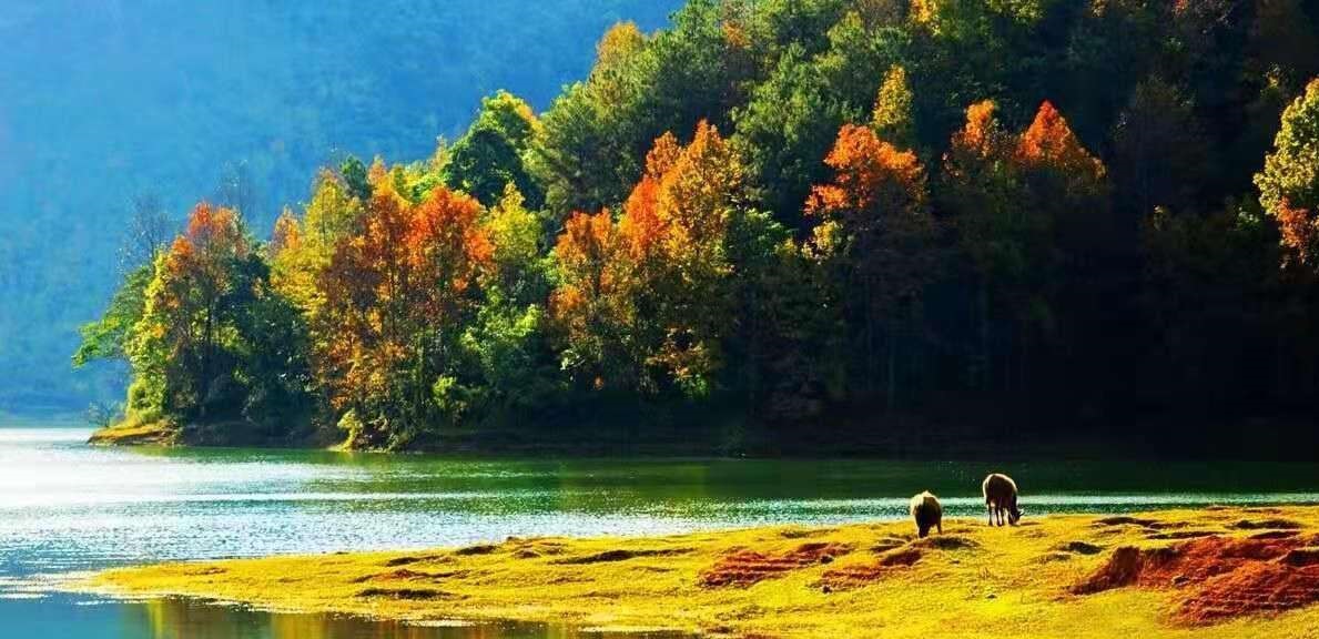 11月这个季节适合去哪里旅游最好,惬意的秋天最适合去旅行