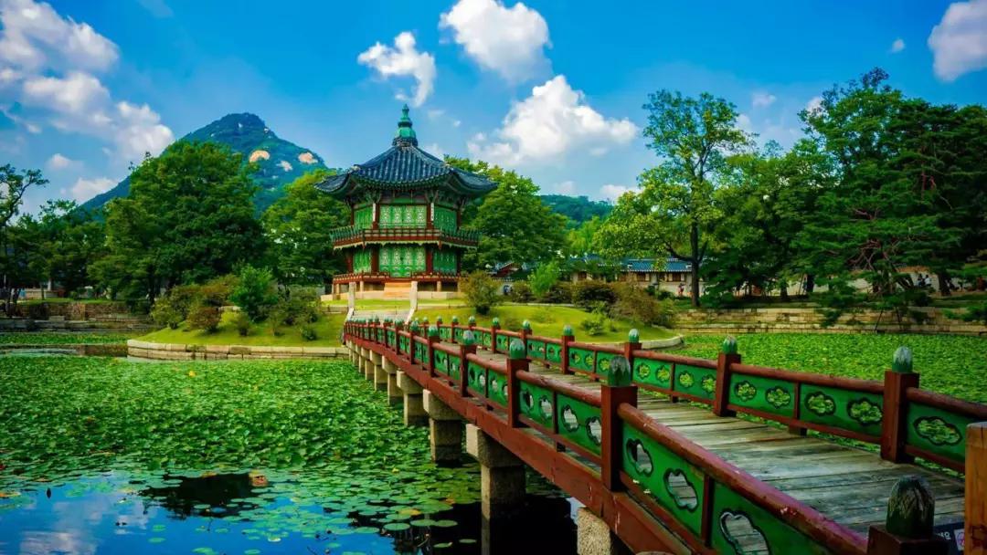 韩国超强打卡美食推荐,韩国必打卡的网红