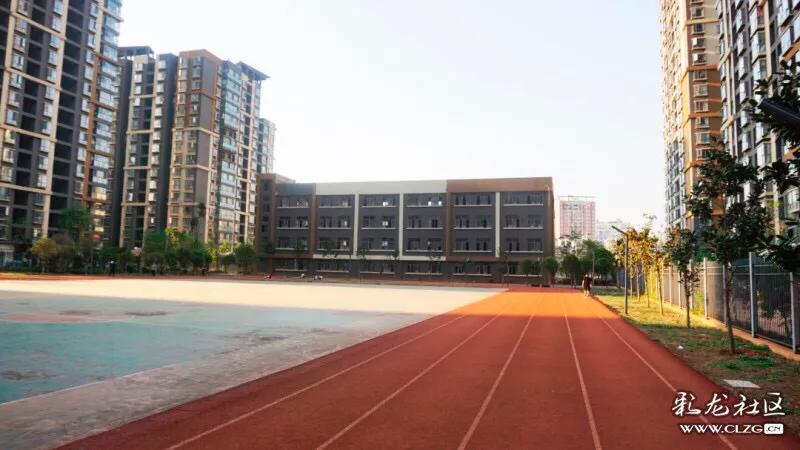 春城小学本部拆迁,春城小学金域校区基本情况