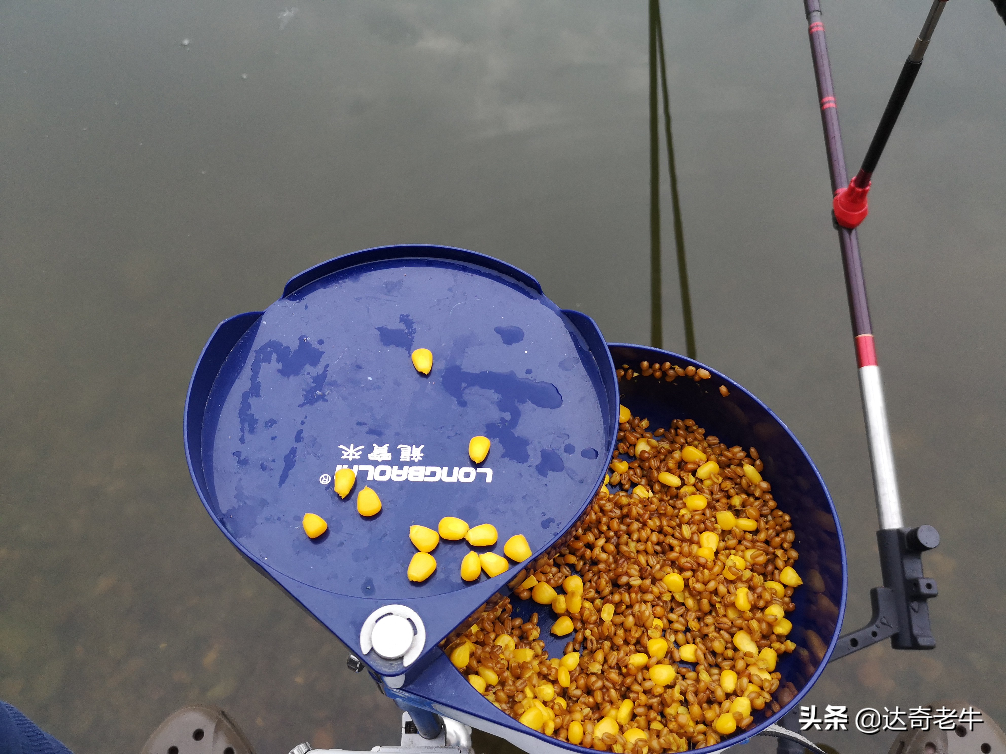 vb小药,vb小药效果怎么样