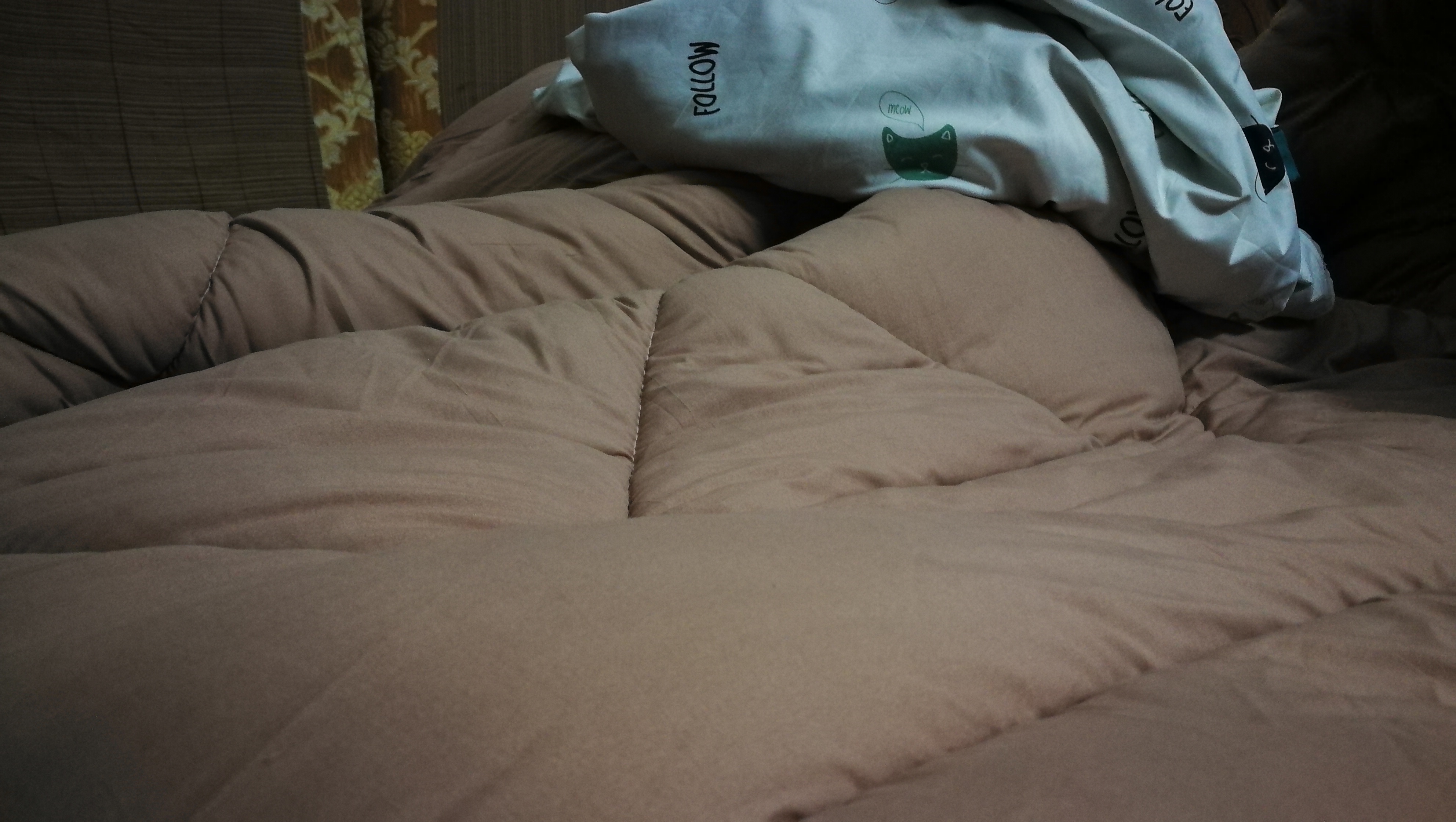 今冬只能自己装棉被了，鸡手鸭脚，还有更难看的吗？