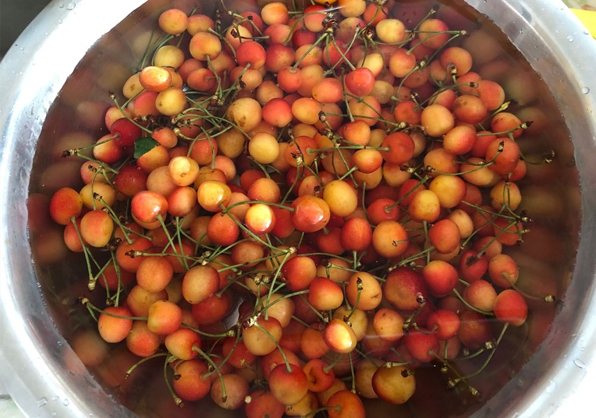 衣服樱桃渍怎么清洗,夏天樱桃的正确吃法