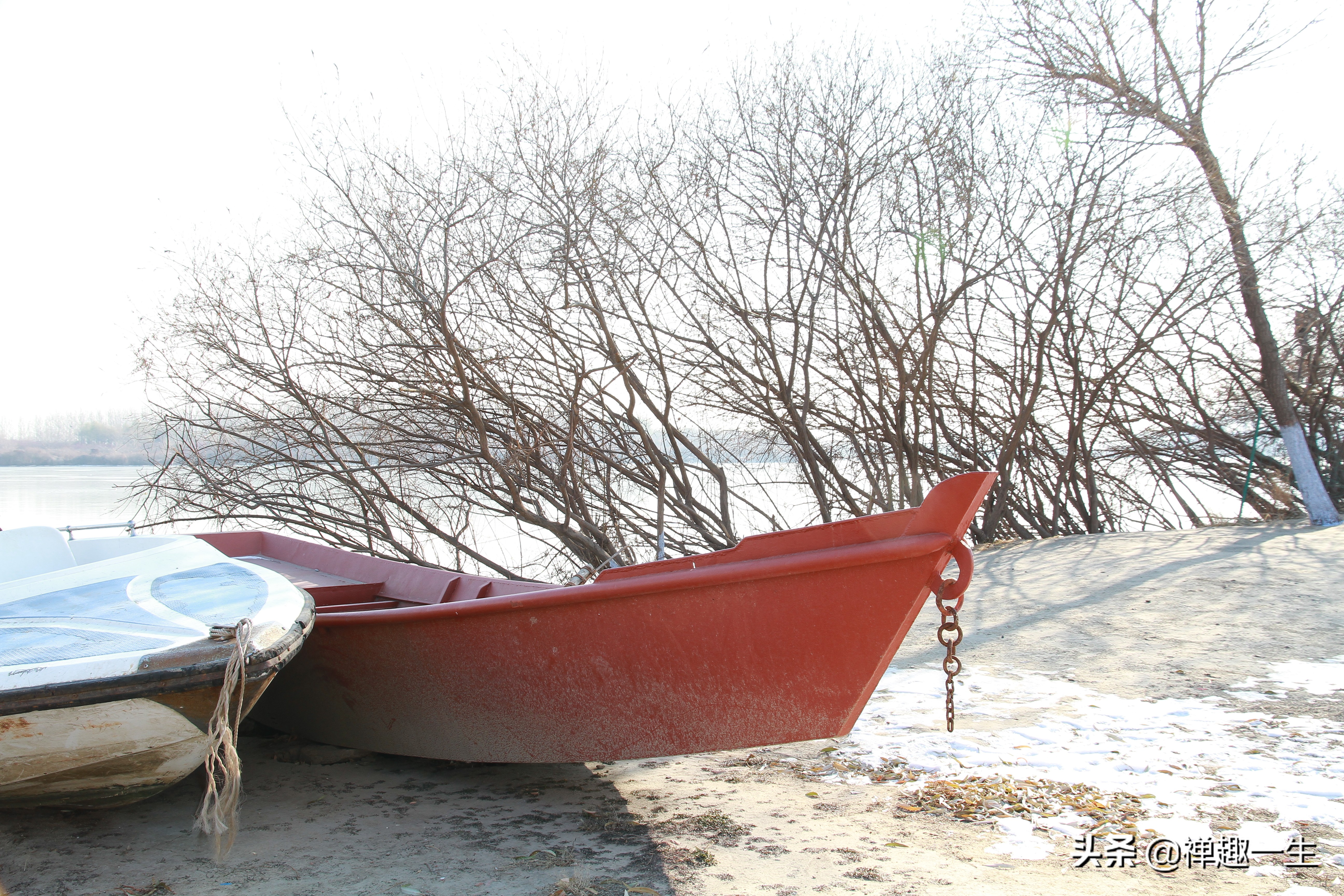 不是太阳岛!但大美湿地却都有一个像太阳般美丽的名字