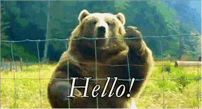 超大超软的可爱熊,可以当做宠物的熊是什么熊